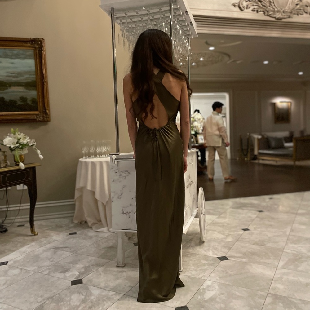 Anias silk dress